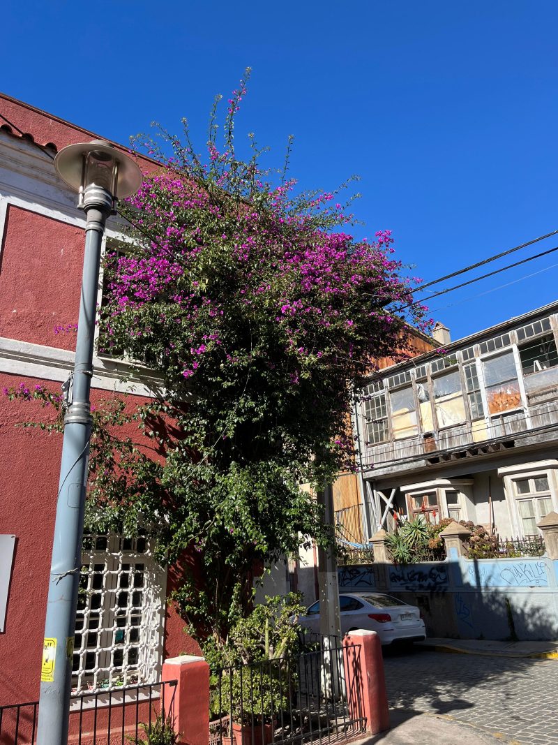 QUINTA REGIÓN VIÑA DEL MAR/VALPARAISO - Imagen 2