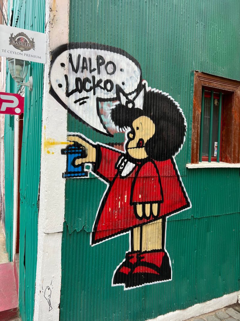 QUINTA REGIÓN VIÑA DEL MAR/VALPARAISO - Imagen 3